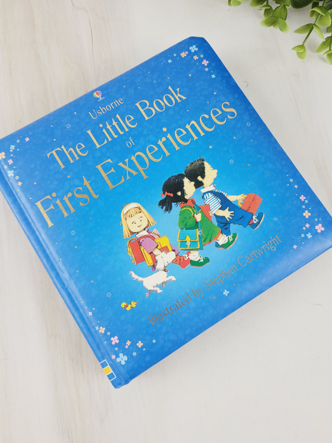 USBORNE THE LITTLE BOOK OF FIRST EXPERIENCES BOOK EUC