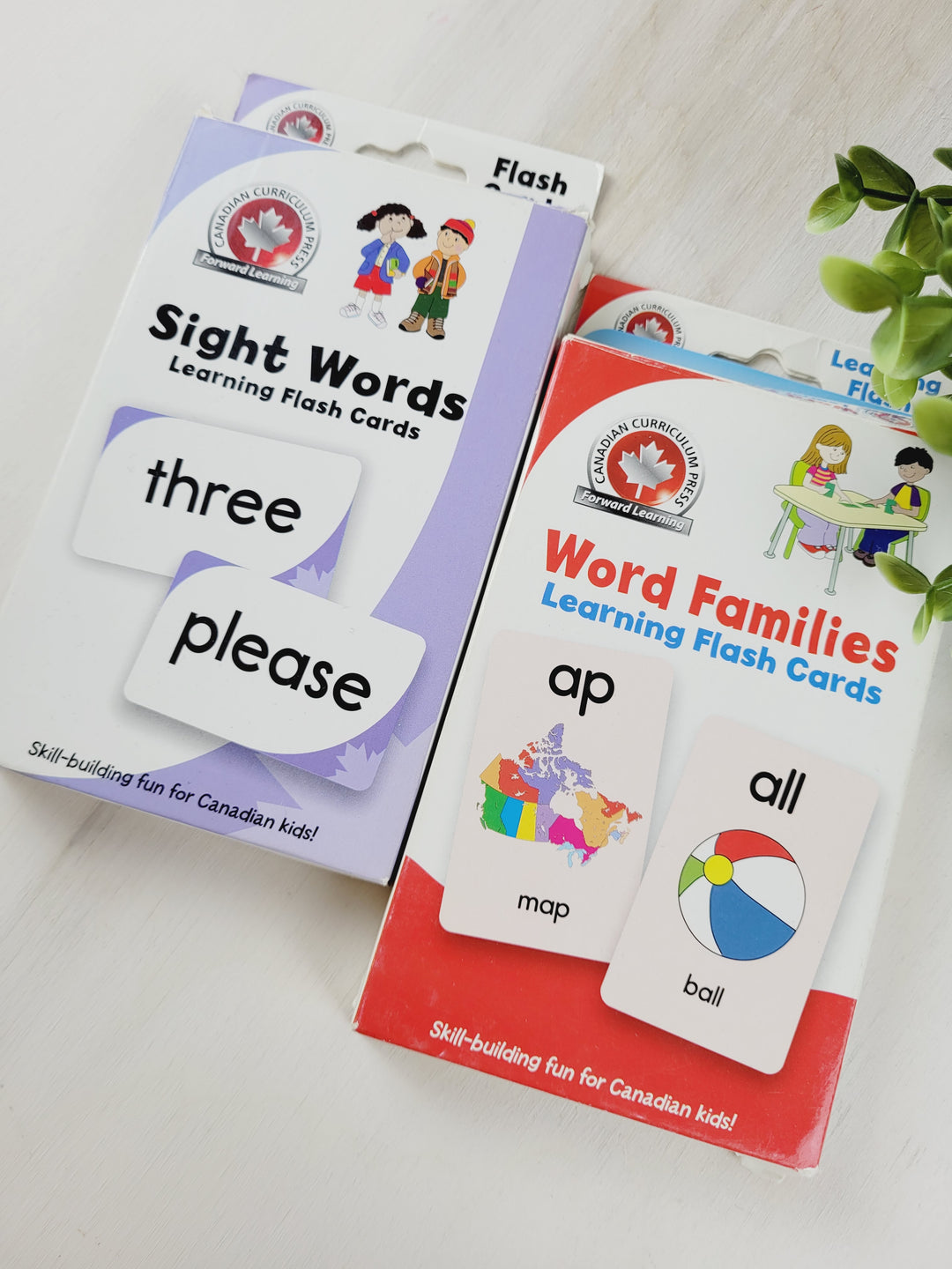 FLASH CARDS 2 PACK - WORD FAMILIES & SIGHT WORDS EUC