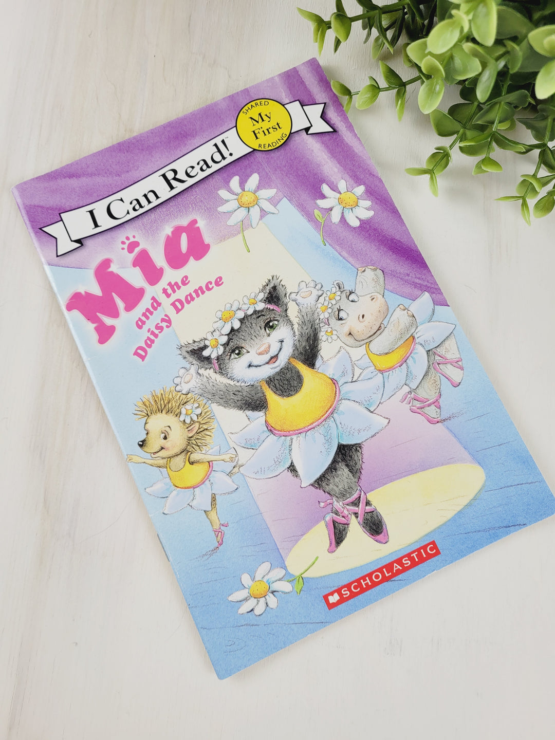 MIA AND THE DAISY DANCE MY FIRST READER BOOK EUC