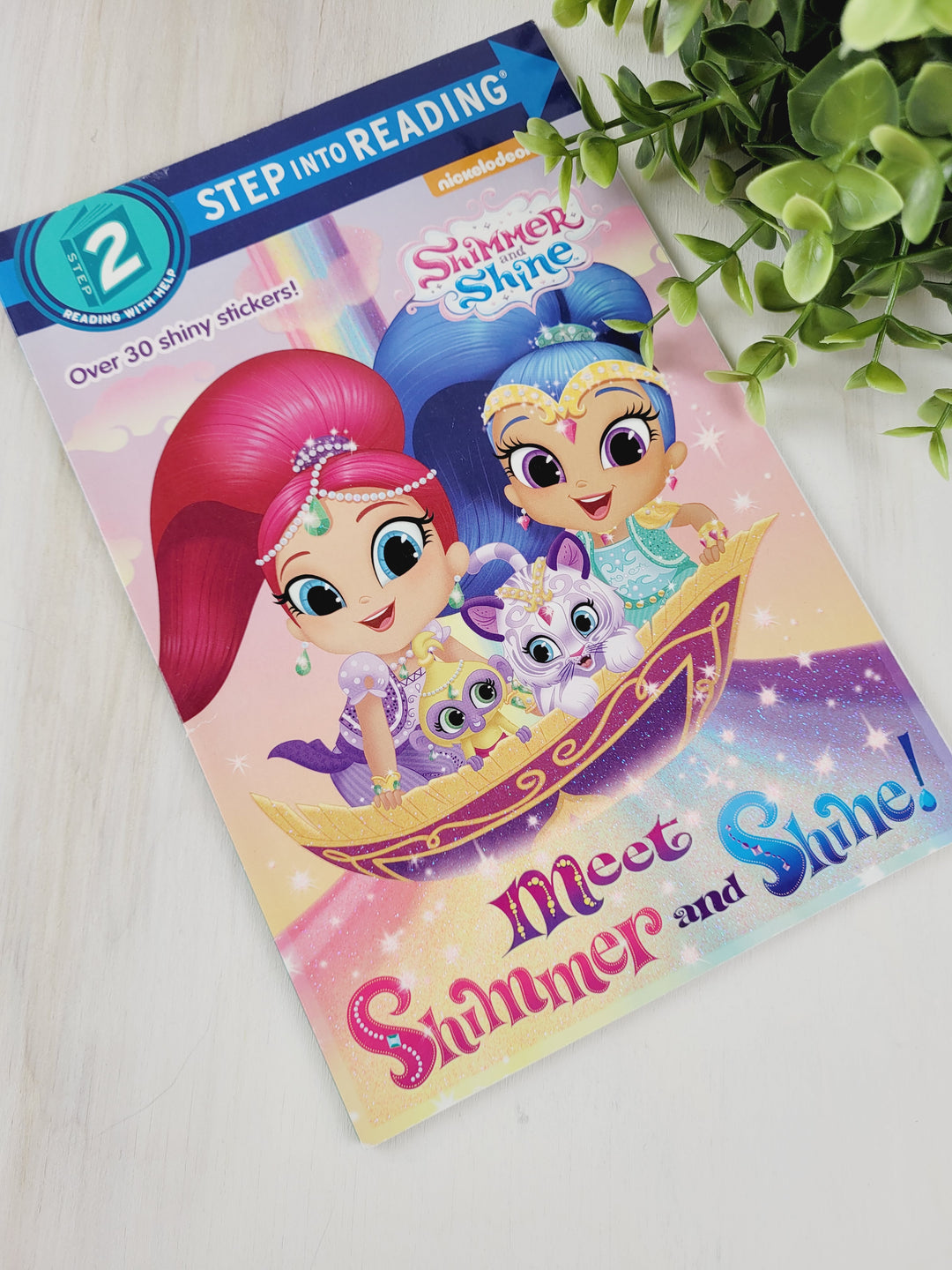 SHIMMER & SHINE LEVEL 2 READER BOOK EUC