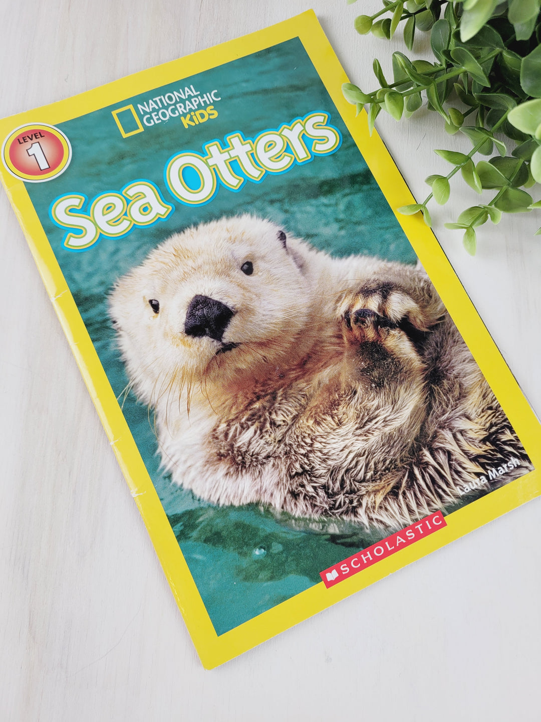 NATIONAL GEOGRAPHIC SEA OTTERS LEVEL 1 READER BOOK EUC