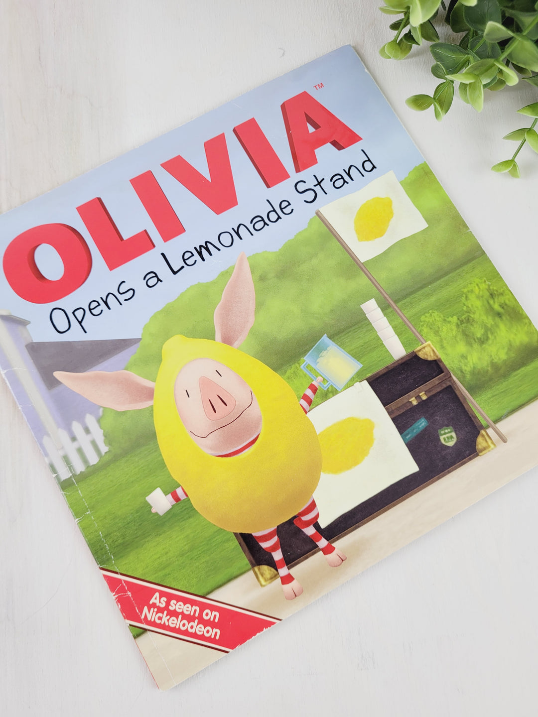 OLIVIA OPENS A LEMONADE STAND STORYBOOK EUC