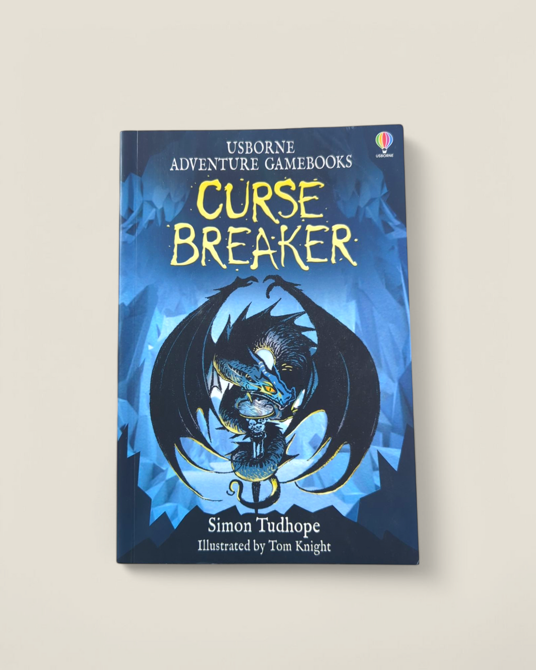 USBORNE CURSE BREAKER CHOOSE YOUR OWN ADVENTURE BOOK PRE-LOVED
