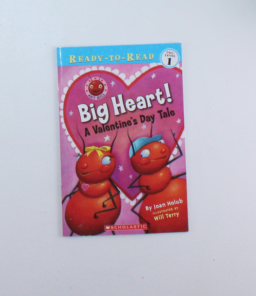 BIG HEART READY TO READ LEVEL 1 BOOK PRE-LOVED