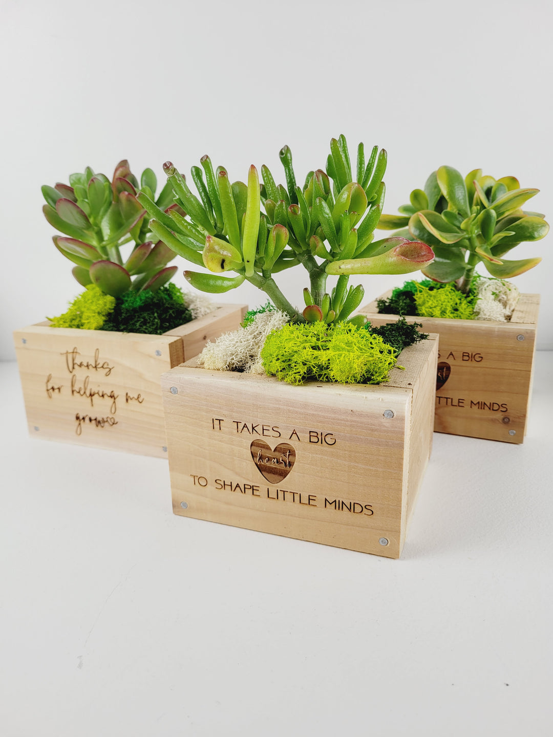 Rough Cut Dezigns, Cedar Lined Planter Boxes With Plants