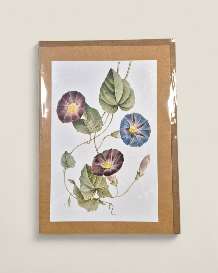 Rosewood Lane, Photography Greeting Cards