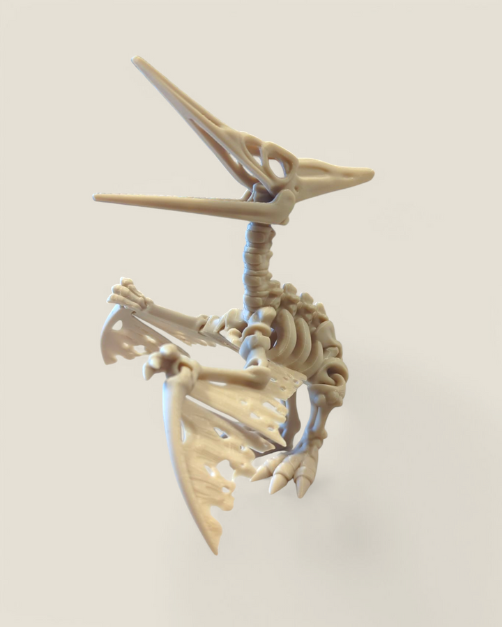 Marlin Fine Craft 3D, Dinosaur Figurines & Fossil Toys
