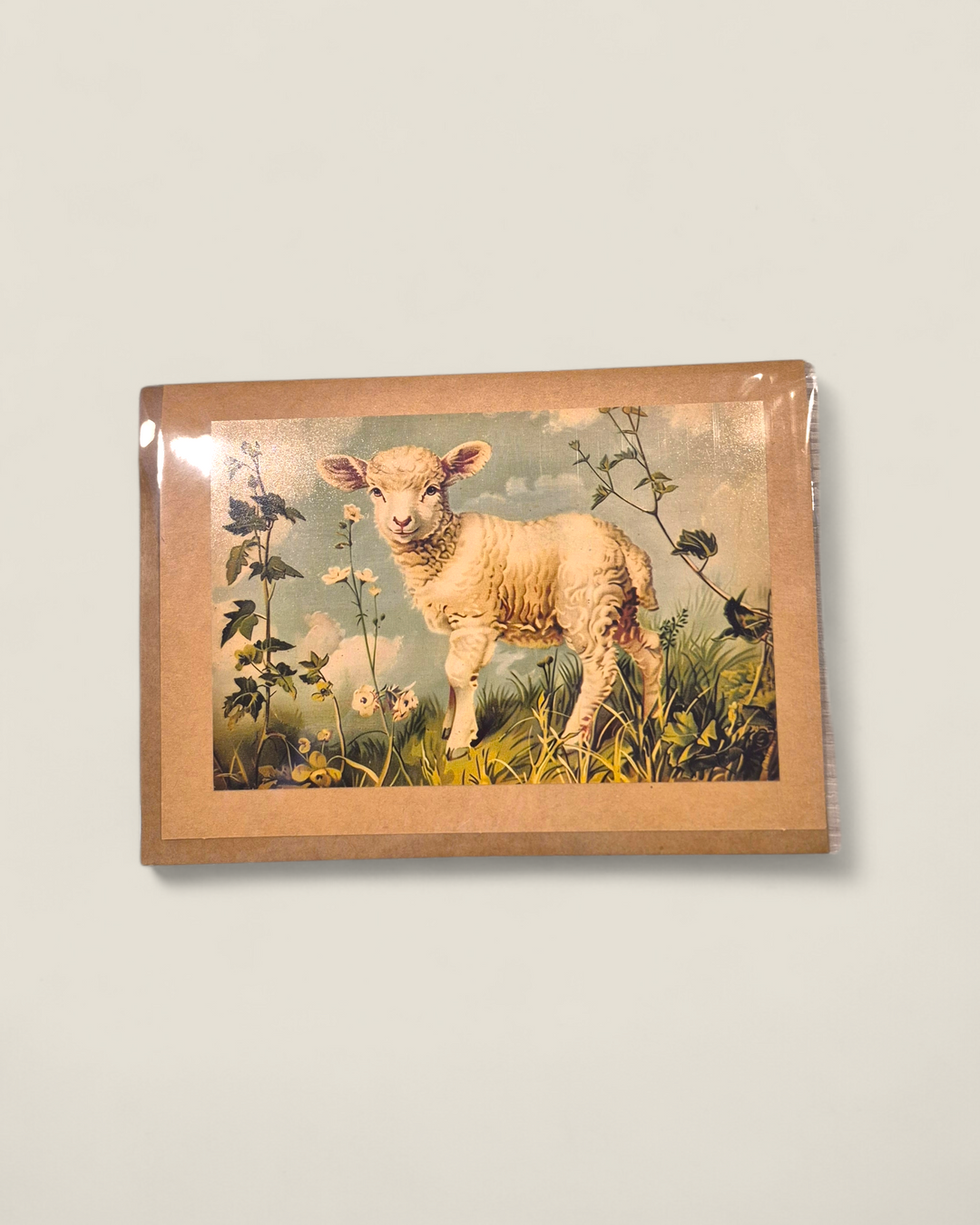 Rosewood Lane, Photography Greeting Cards