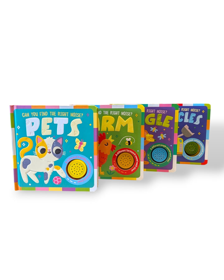 Can You Find The Right Noise Board Books