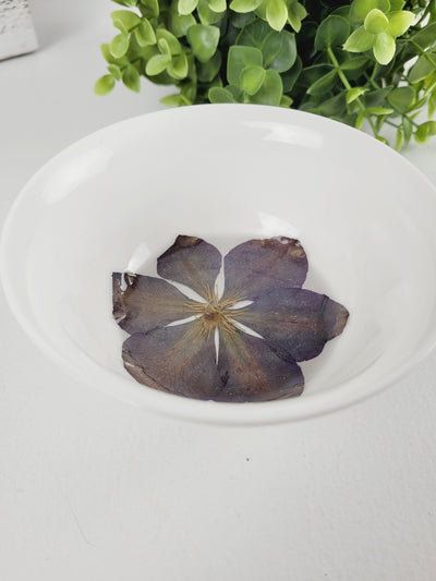 Little Pretty Designs, Trinket Dishes with Floral Resin